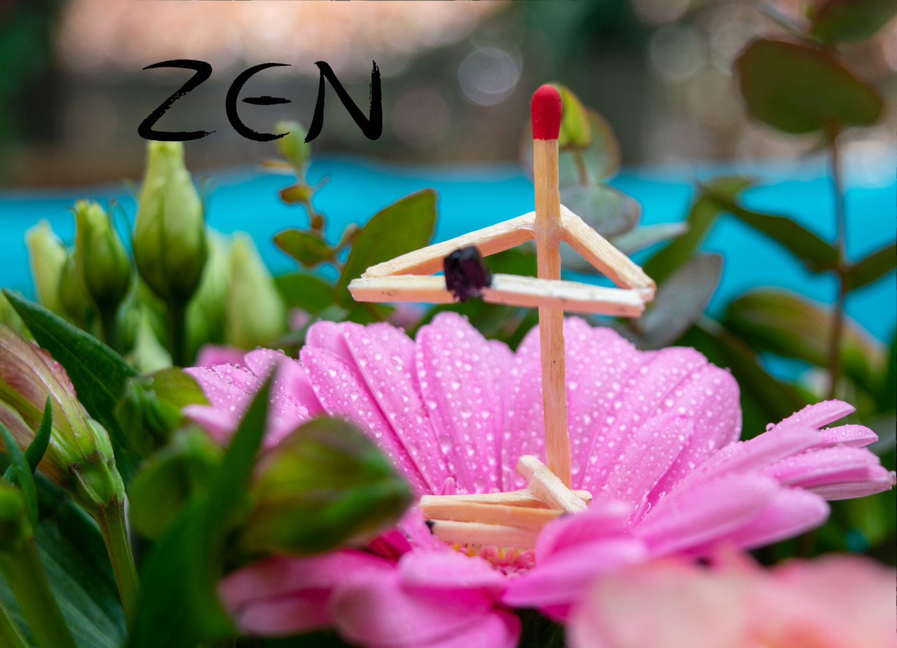 Zen.nl, Zen, meditatie, leren mediteren, foto